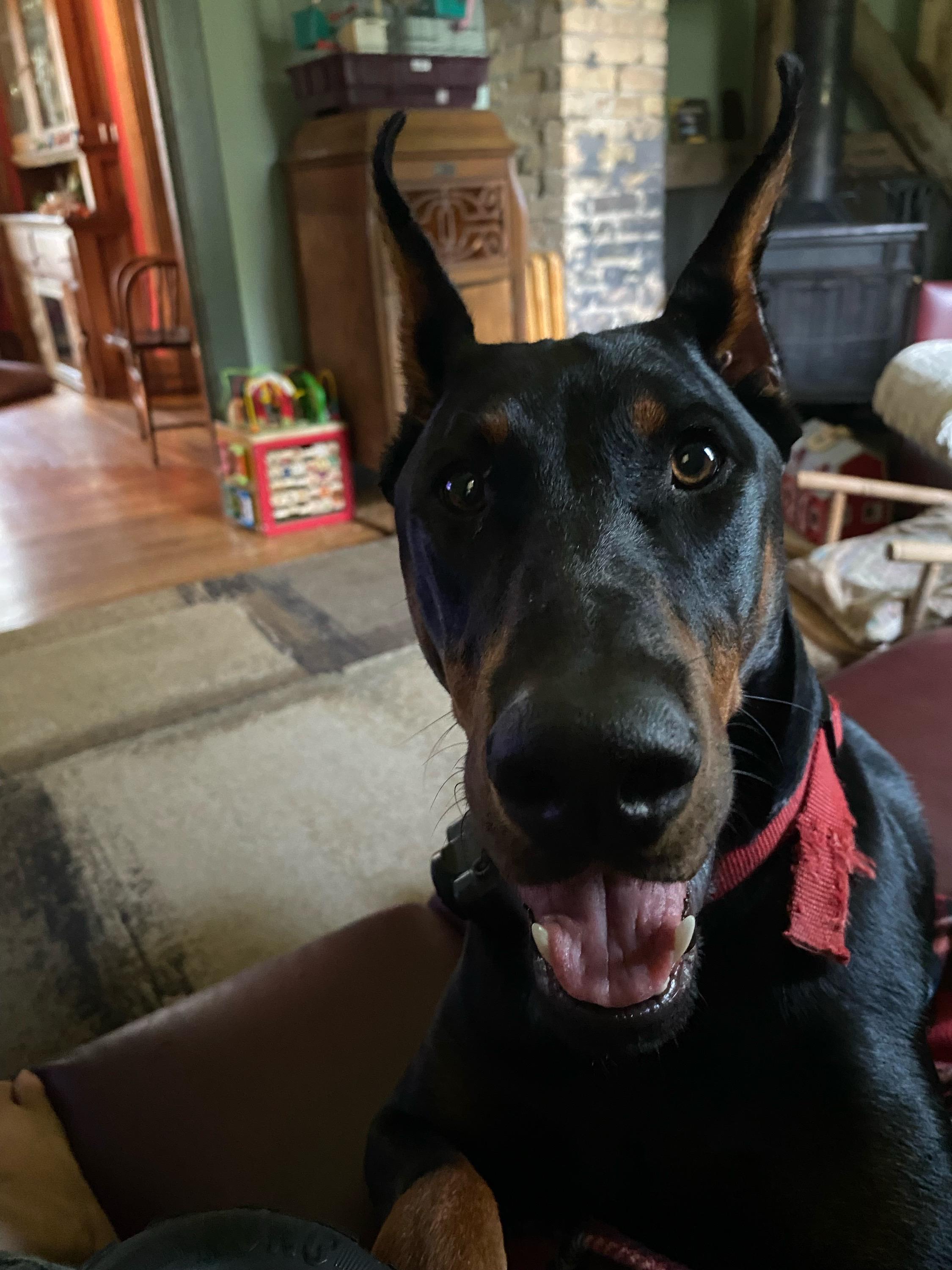 Kaia smiling at home with her family