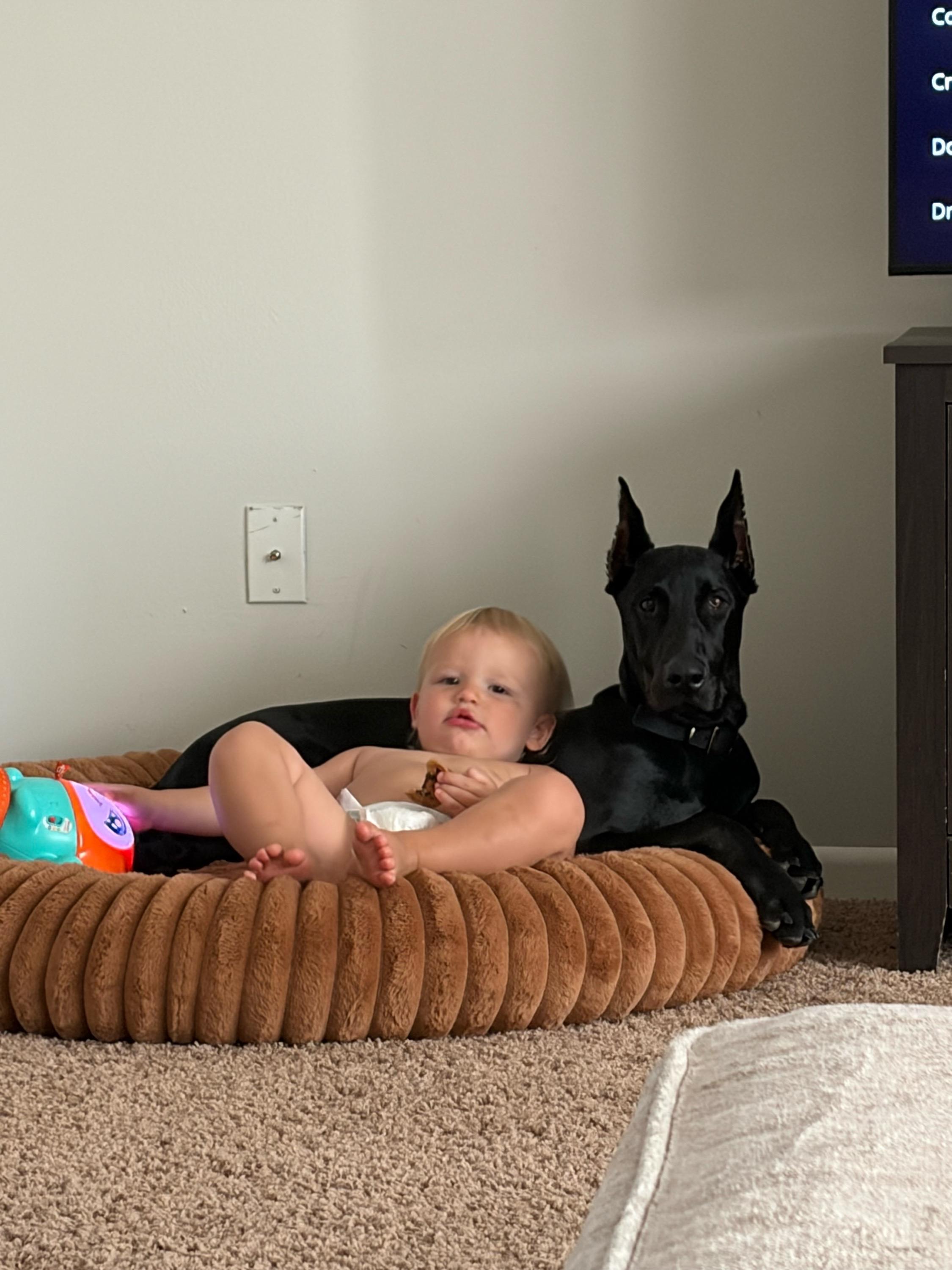 Bruce lying protectively beside the family baby