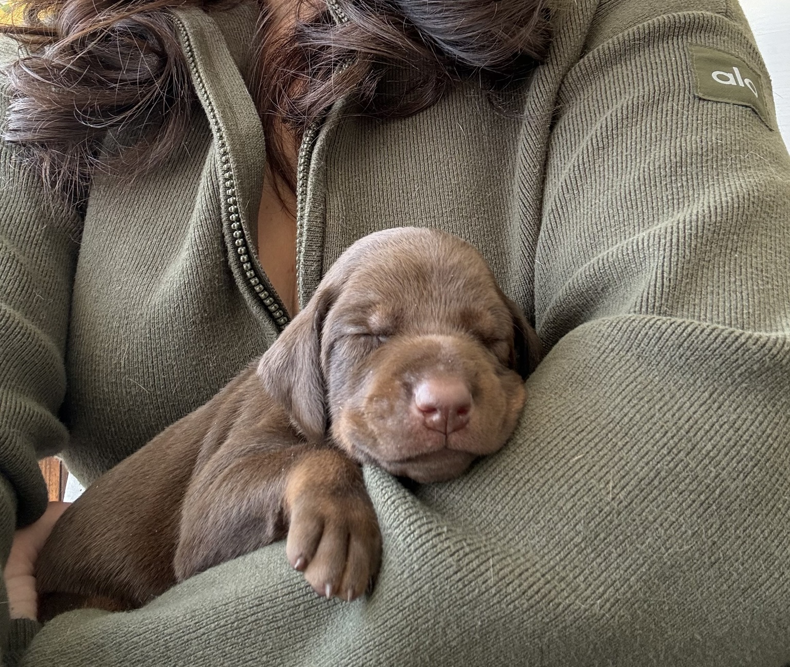 Newborn Coco sleeping in Sophia's arms