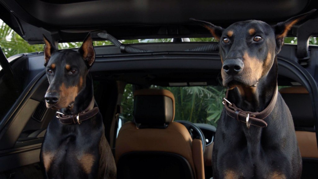 Zeus and Apollo in the Magnum P.I. reboot