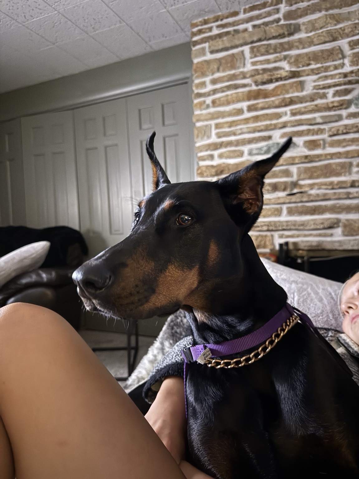 Kaia relaxing beside her family at home