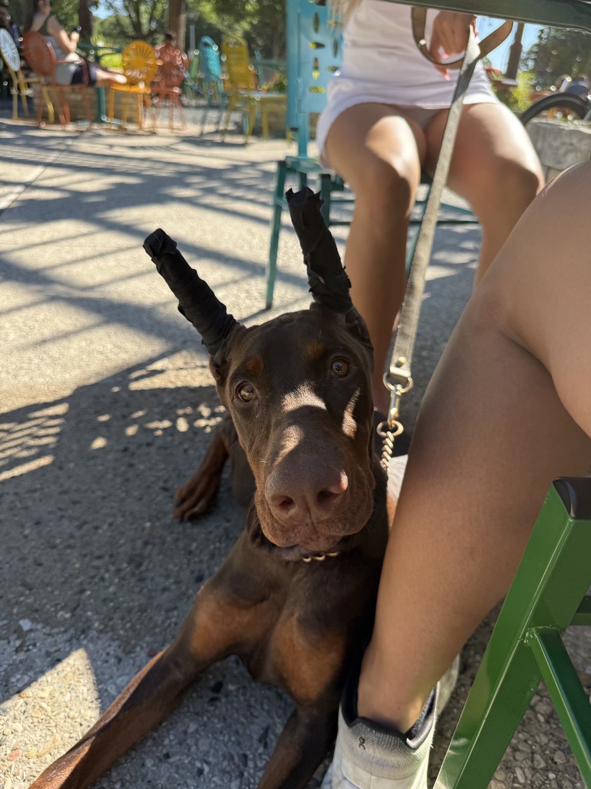Close candid portrait of Kalani relaxing beside her family