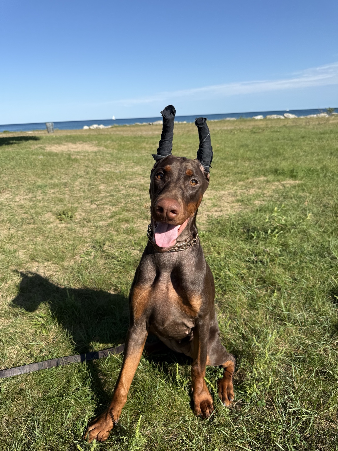 Kalani looking toward the camera while sitting by the lake