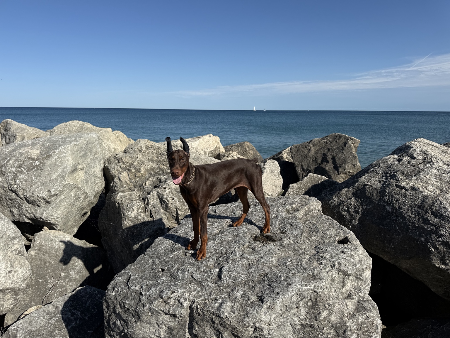 Kalani standing on the rocks with Lake Michigan behind her