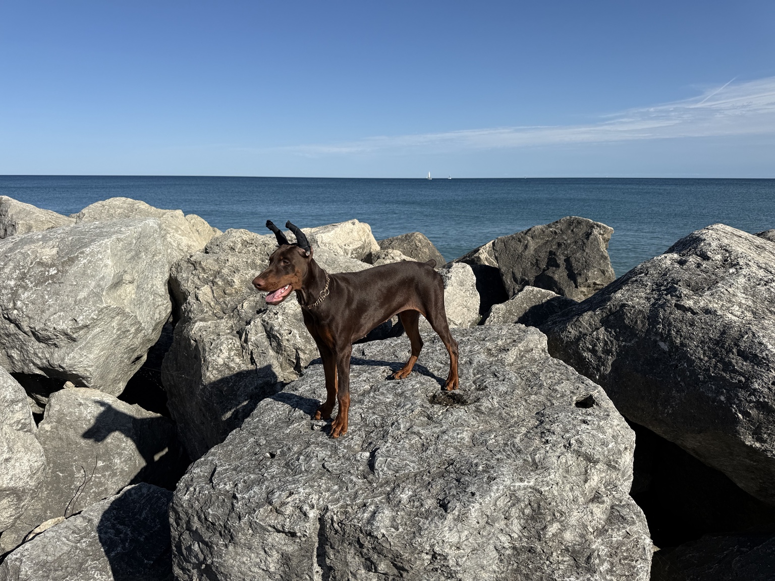Kalani standing in profile on the lakeshore rocks