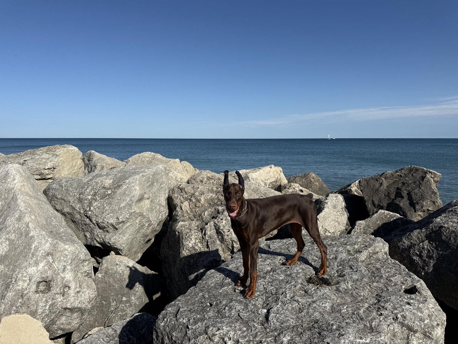 A wide portrait of Kalani among the lakeshore rocks