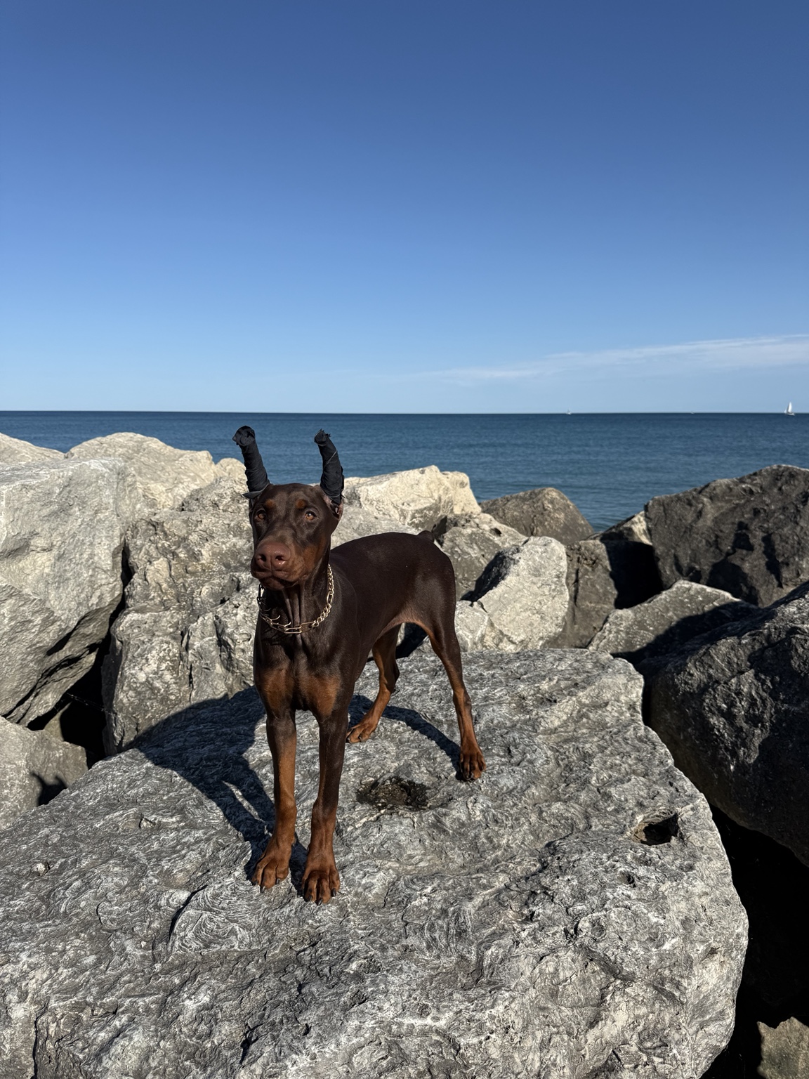 Full-body portrait of Kalani standing on the lakeshore rocks