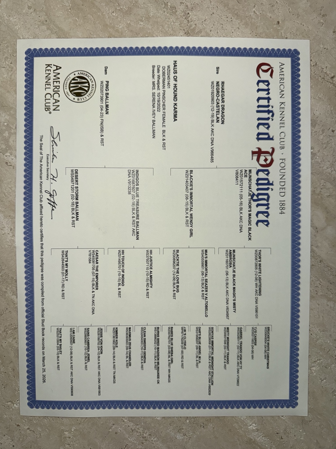 AKC certified pedigree for Haus of Hound Karma