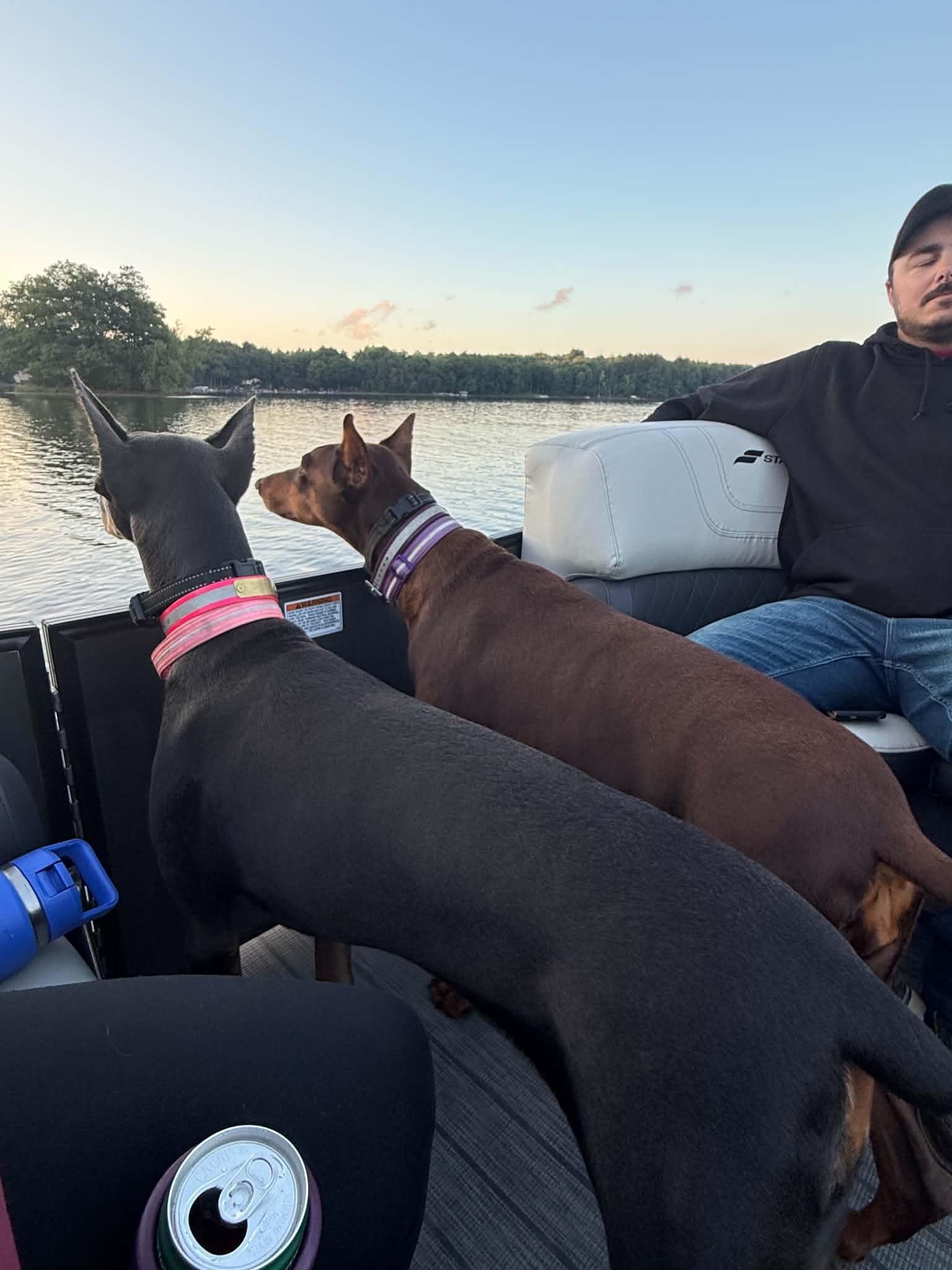 Violet and her red Doberman sister riding together on the boat